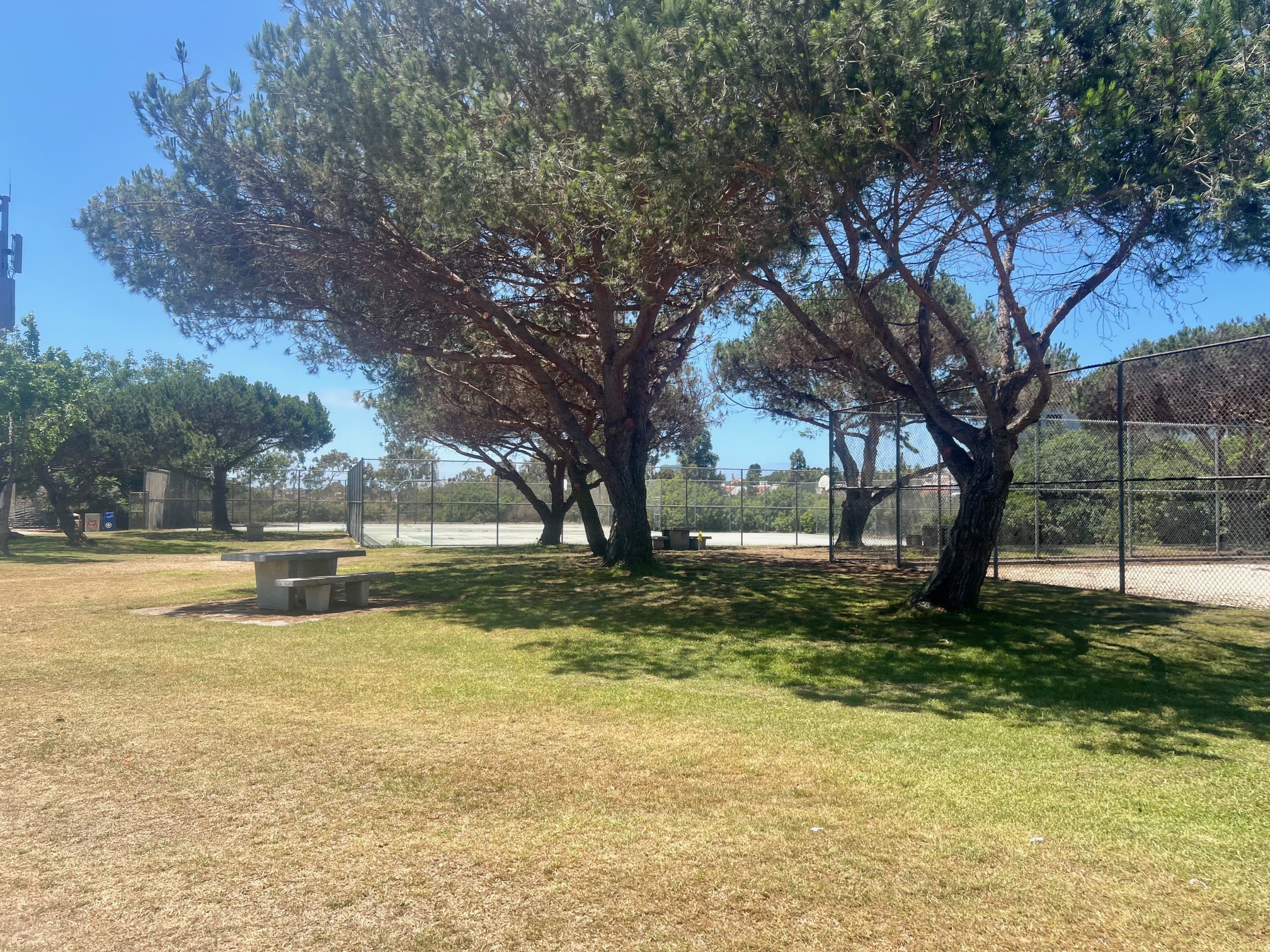 Doyle Park Grassy Area near Sand Volleyball Courts